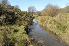 18. Upstream from Shircombe Farm