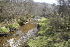 19. Upstream from Shircombe Farm