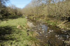 20. Upstream from Shircombe Farm