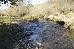 21. Brook splits rejoin below Shircombe Farm
