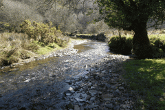 22. Flowing below Shircombe Farm
