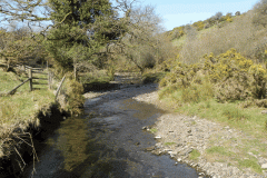 24. Flowing below Shircombe Farm