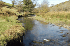 25. Flowing below Shircombe Farm
