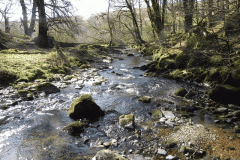 29. Upstream from Shircombe Rocks