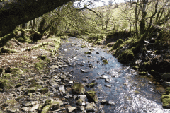 32. Stream from Molland Common flowing to join Danes Brook
