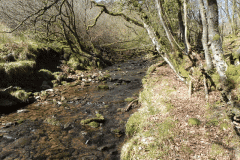 34. Stream from Molland Common flowing to join Danes Brook