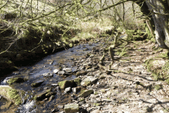 35. Stream from Molland Common flowing to join Danes Brook