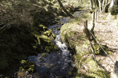 36. Stream from Molland Common flowing to join Danes Brook
