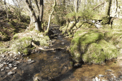 41. Stream from Molland Common joins Danes Brook