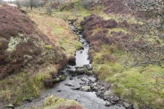 2. Tributary stream joins