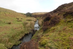 3. Flowing down to Weir Water