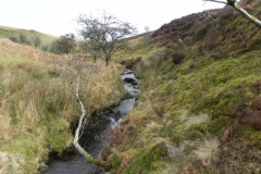 5. Flowing down to Weir Water