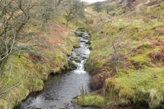 8.Approaching Weir Water