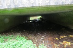 11.-Looking-through-A39-Bridge