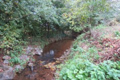 12.-Downstream-from-A39-Bridge