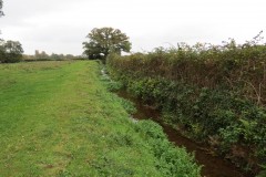 13.-Downstream-from-A39-Bridge-2