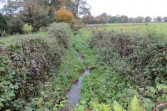 18.-Downstream-from-accommodation-bridge-1