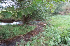 19.-Rejoins-Cannington-Brook