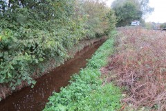 7.-Upstream-from-A39-4