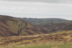 1. Looking to Farley Water Farm from Hoar Tor