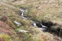 12. Flowing below Hoar Tor