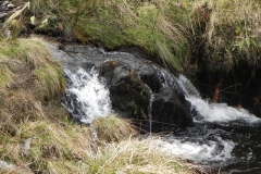 13. Flowing below Hoar Tor