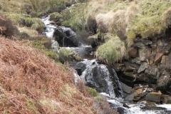 14. Flowing below Hoar Tor