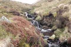 15. Flowing below Hoar Tor