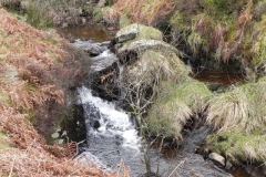 16. Flowing to Clannon Ball