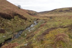 17. Flowing to Clannon Ball