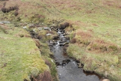 18. Flowing to Clannon Ball