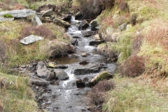 19. Flowing to Clannon Ball
