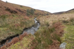 21. Flowing to Clannon Ball