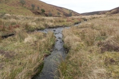 23. Flowing to Clannon Ball