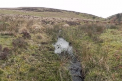 24. Flowing to Clannon Ball