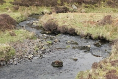 26. Flowing to Clannon Ball