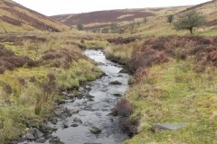 28. Flowing to Clannon Ball