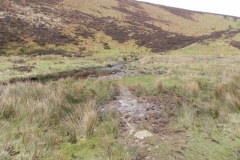 30. Clannon Ball Ford