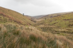 4. Looking downstream