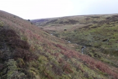 5. Looking downstream