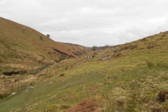 9. Flowing below Hoar Tor