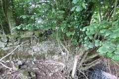 Cove-Mill-Leat-3
