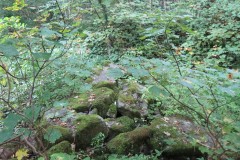 Cove-Mill-Leat-4