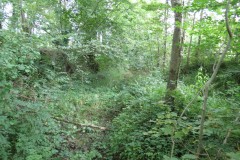 Cove-Mill-Leat-5