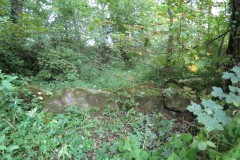Cove-Mill-Leat-6