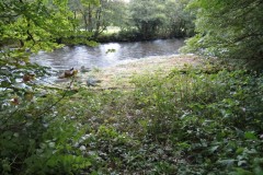Cove-Mill-Leat-7