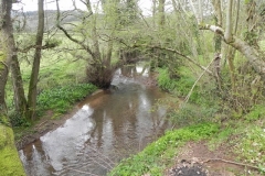 13. Downstream from Dulverton Mill Leat weir