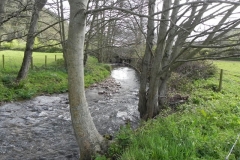 14. Upstream from Old Frackford Bridge