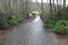 4. Looking upstream from Avill Farm ROW Bridge 3176