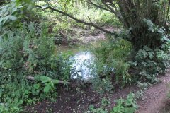 Coxley-Mill-Tail-Race-joins-Sheppey